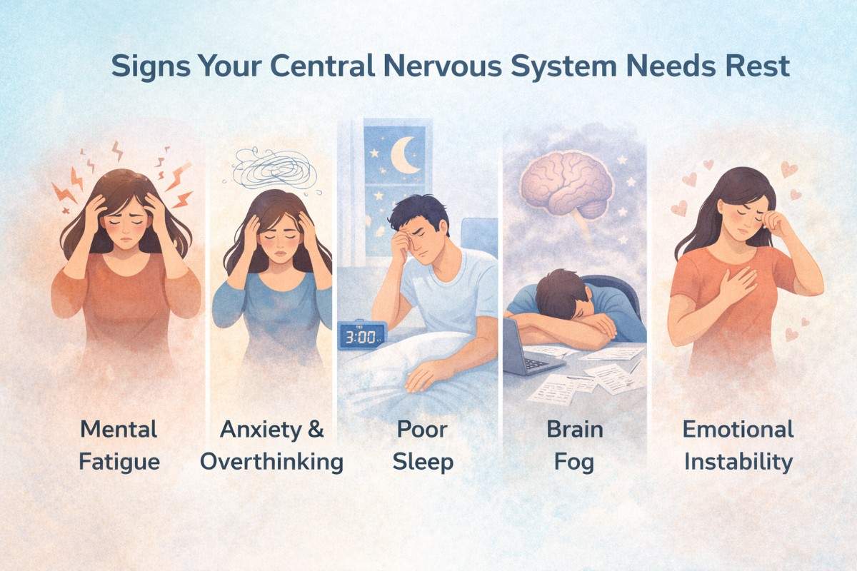 illustration showing signs your central nervous system needs rest including mental fatigue anxiety poor sleep and brain fog